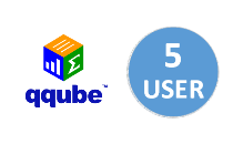 Multi-User Edition For 5 Users and 1 QuickBooks Company File